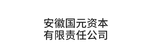 安徽国元资本有限责任公司